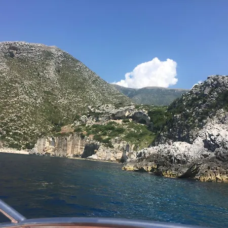 Vasili * Vuno